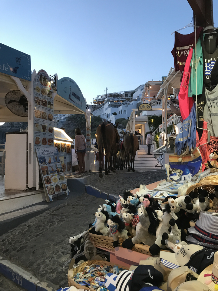 Donkeys walking through a narrow street with shops.