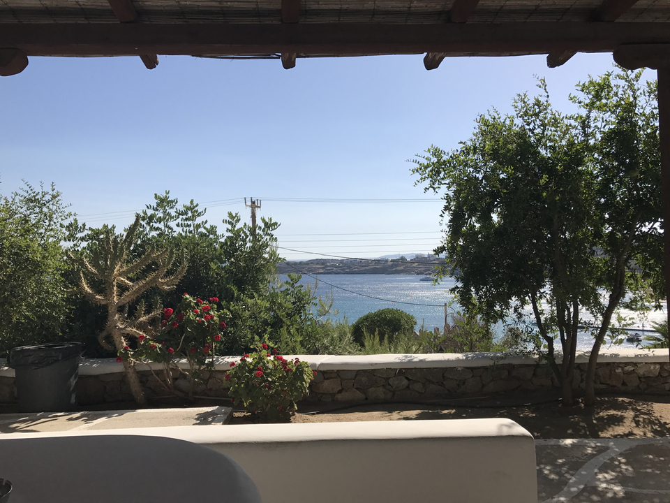 Seaside view with trees and blue water.