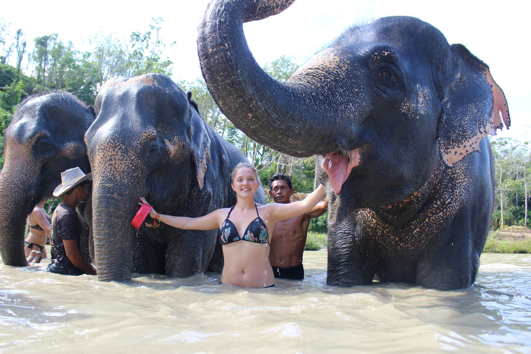 People with elephants in a water setting.