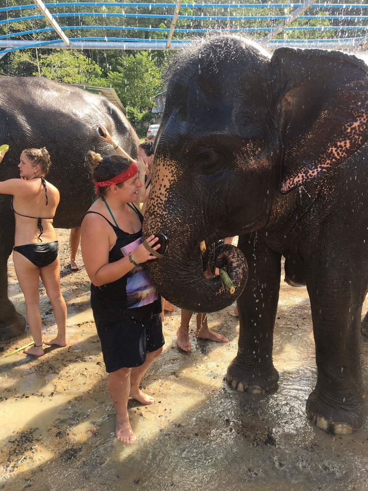 Person interacting with an elephant at a waterhole.