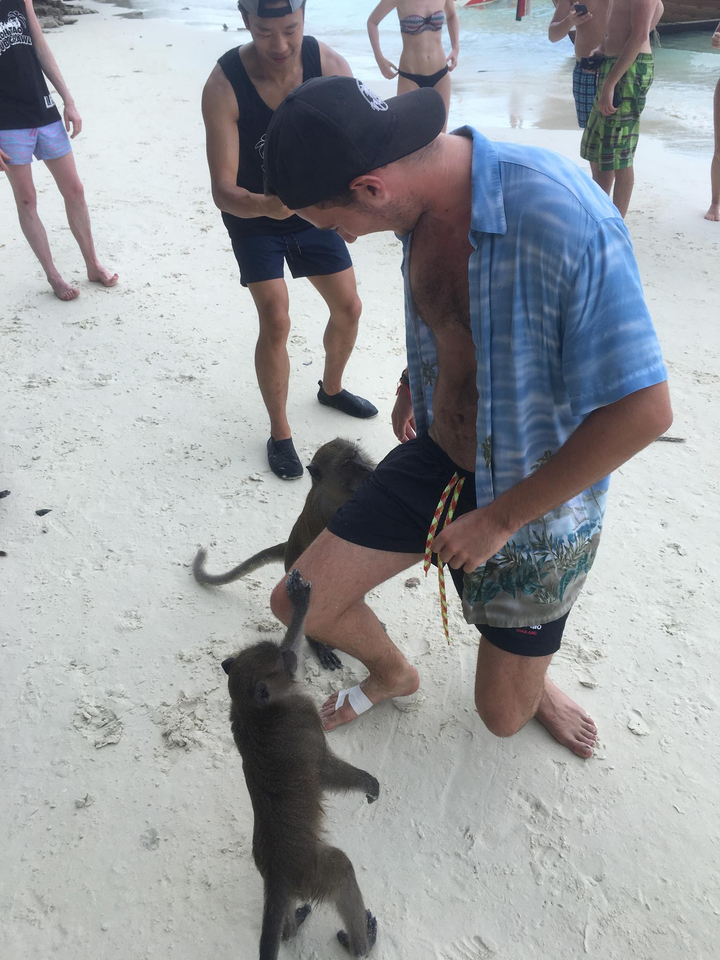 People on a beach interacting with a monkey.