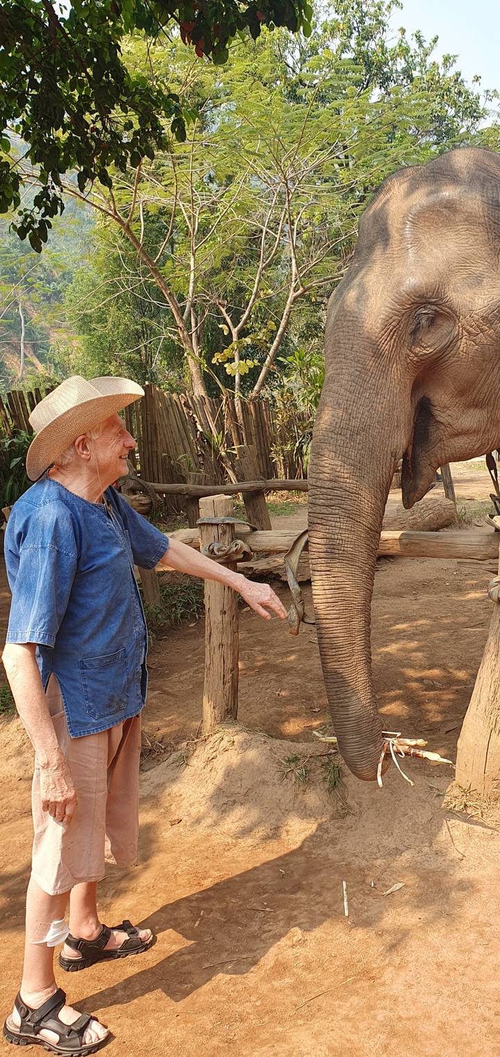 Person interacting with an elephant in a natural setting.