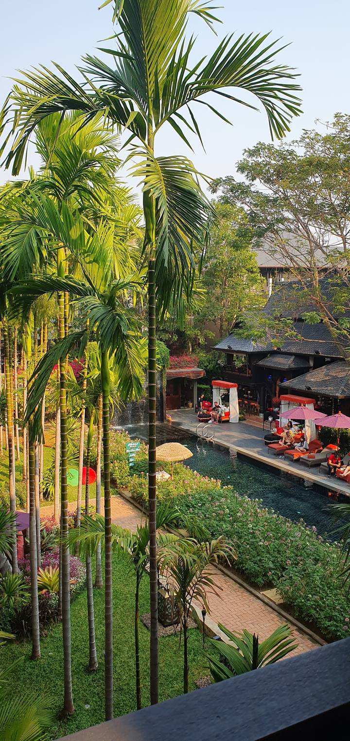 Lush garden with palm trees and a water feature.