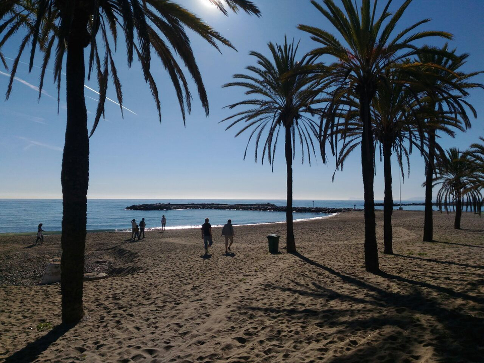 Beach scene with palm trees and people walking along the shore.