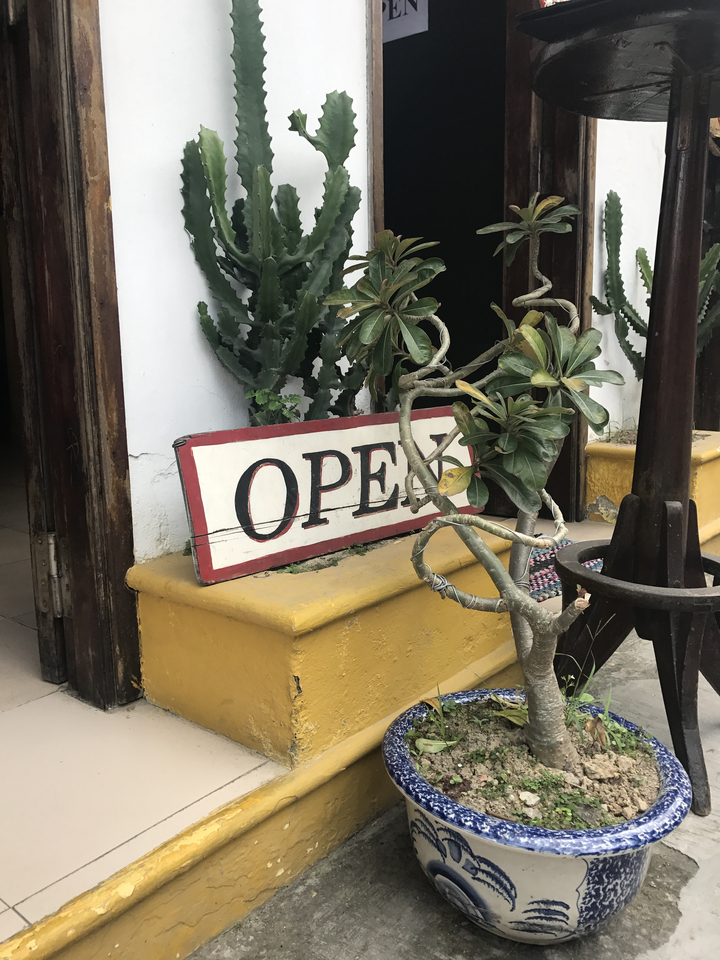 Sign reading 'OPEN' with plants around.