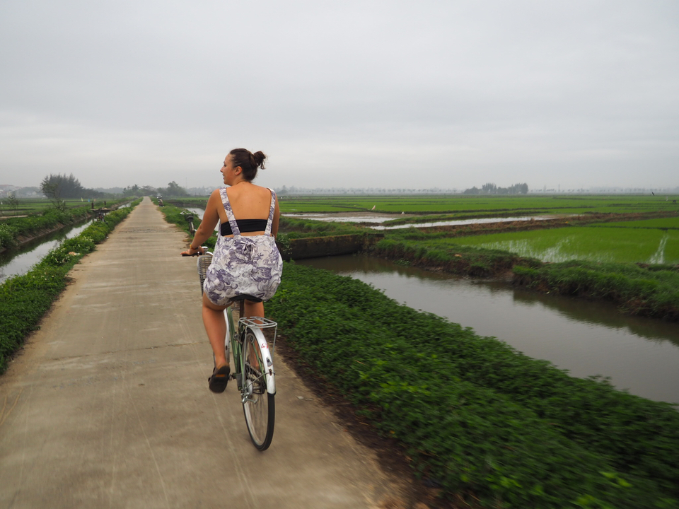 Person cycling along a rural road flanked by rice paddies.