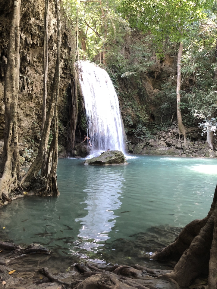 Waterfall cascading into a clear pool, framed by lush trees.