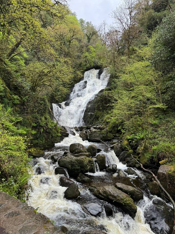 Waterfall flowing through a lush, green forest.