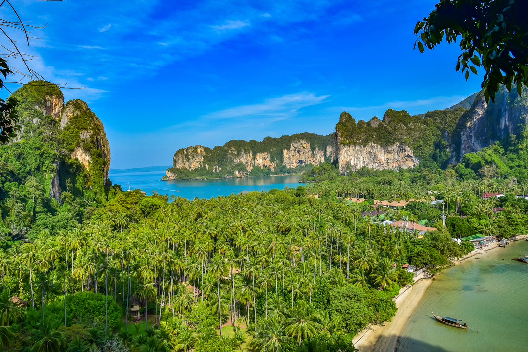 Panoramic view of a lush coastal area with tropical vegetation.