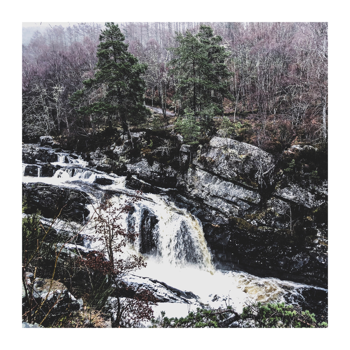 Flowing waterfall amidst trees and rocks.