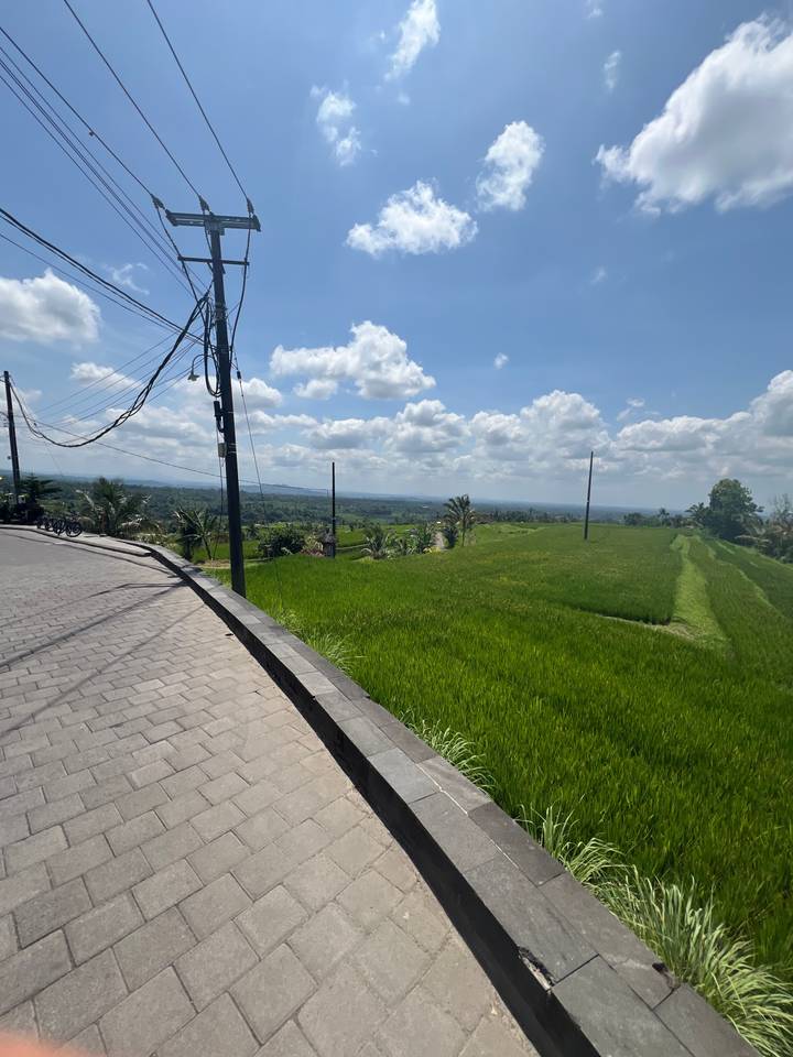 Paved path near green fields under a blue sky.