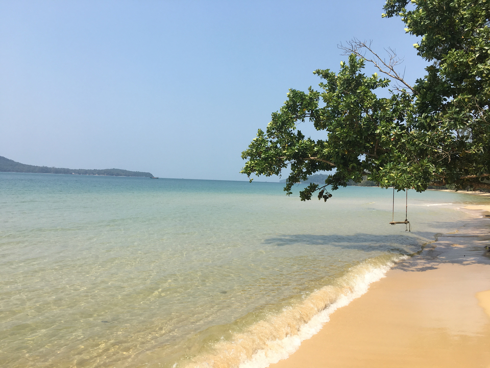 Empty beach with a tree and swing over the water.