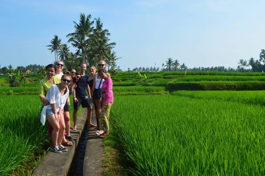 Group of tourists in a rice field.