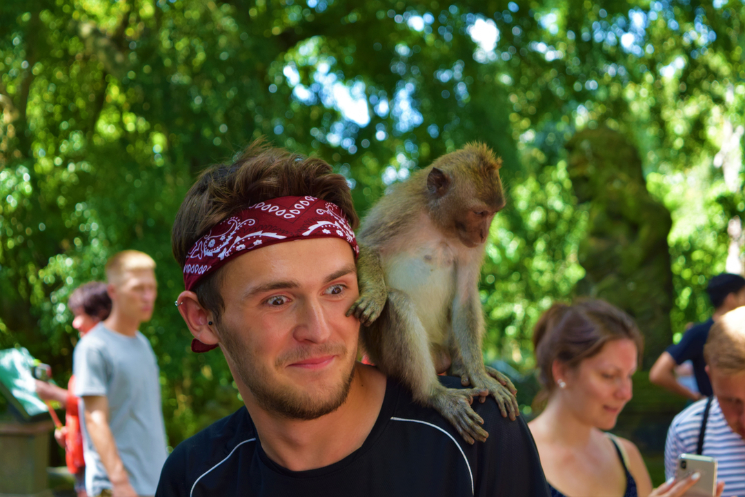 Person with a monkey on their shoulder in a tropical setting.