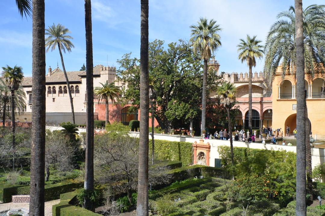 Scène de jardin luxuriant avec des bâtiments historiques et des palmiers.