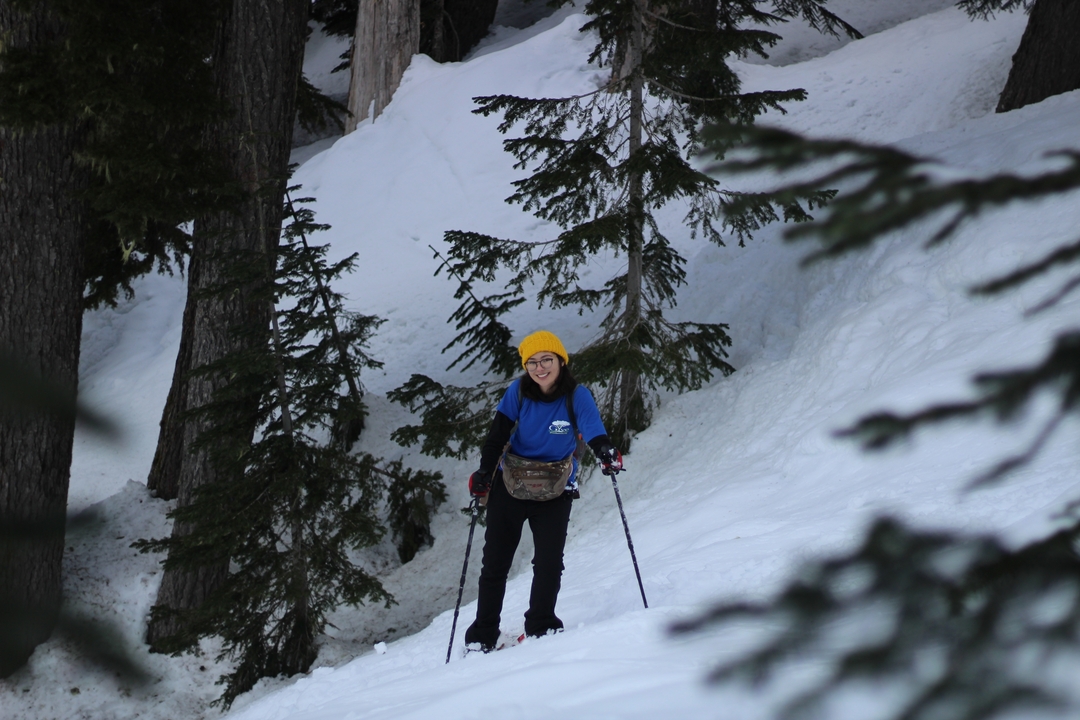 A person skiing with a yellow hat in a snowy forest.