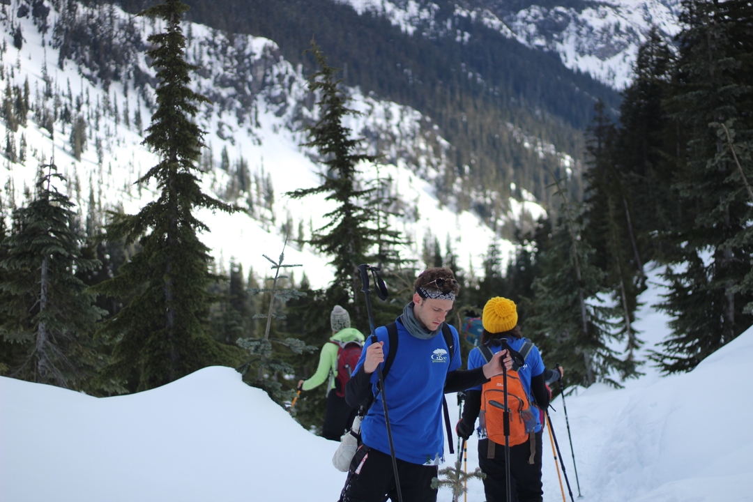People hiking with ski poles in a snowy forest.