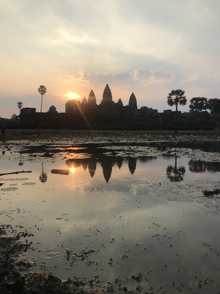 Angkor Wat temple reflected in a lily-covered pond during sunset.