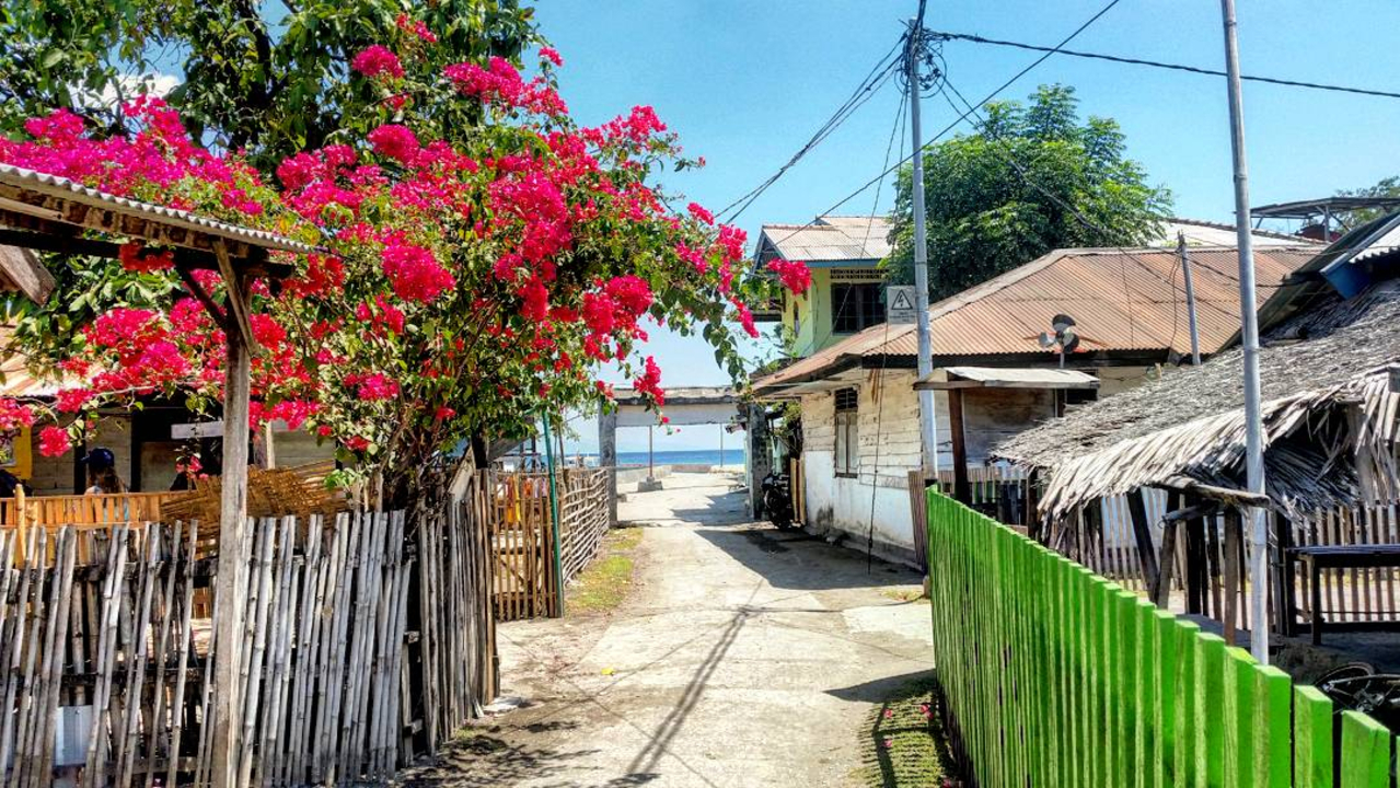 A quaint village street lined with colorful flowers and traditional houses.
