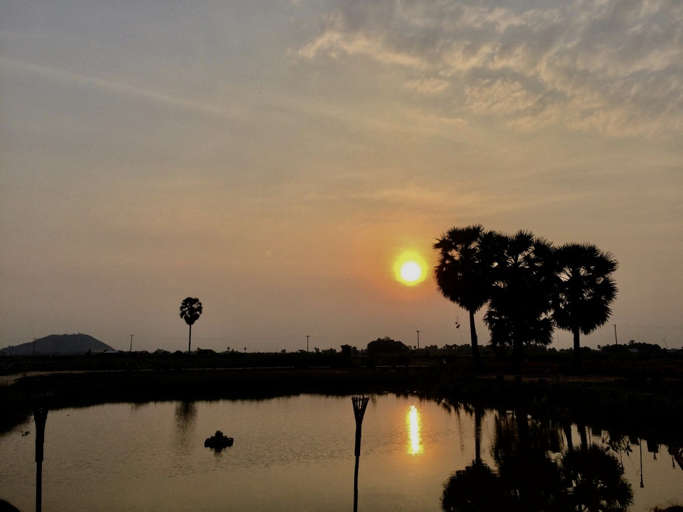 Silhouette of trees and a sunset over a calm lake.