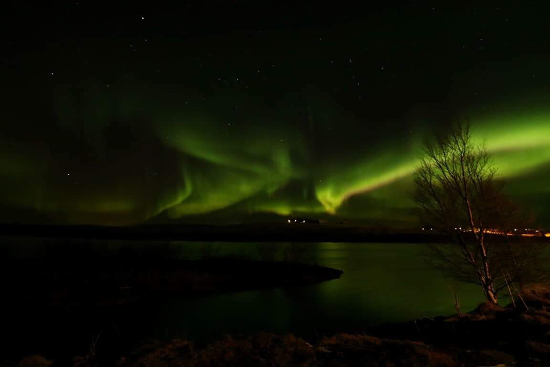 Vivid northern lights over a body of water with trees.