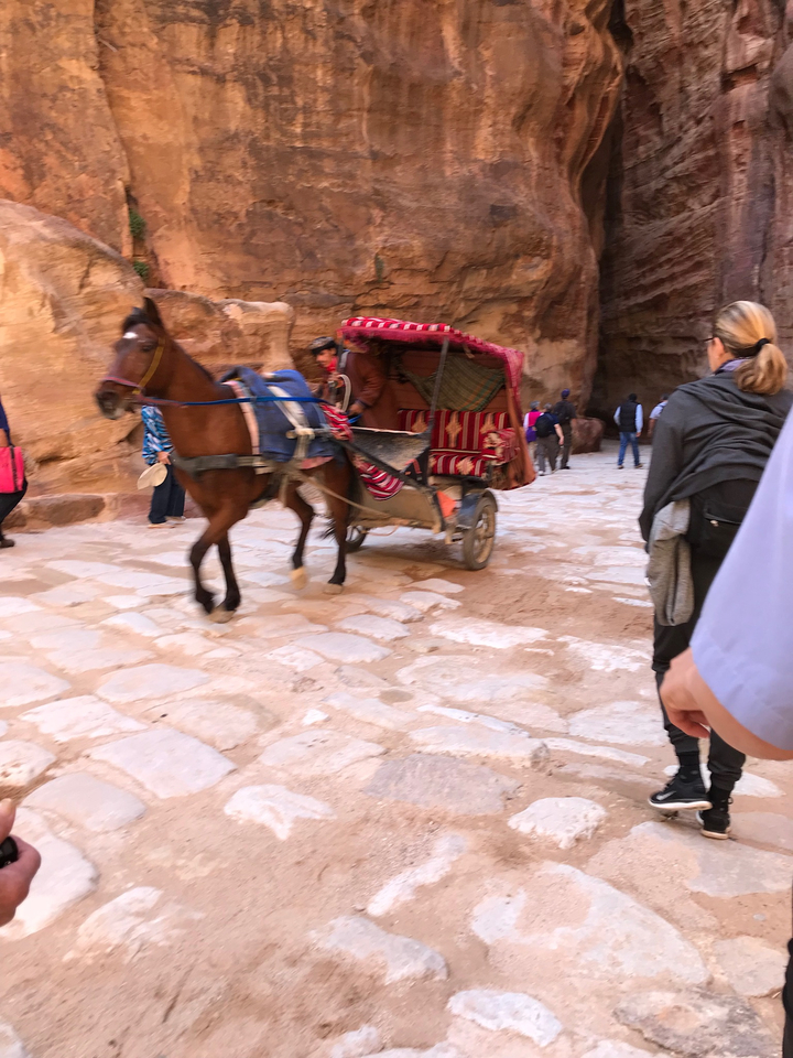 A horse-drawn carriage on a cobblestone path.