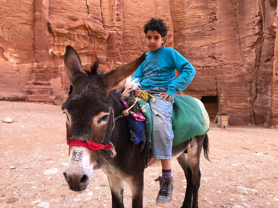 A child sitting on a donkey in a canyon setting.