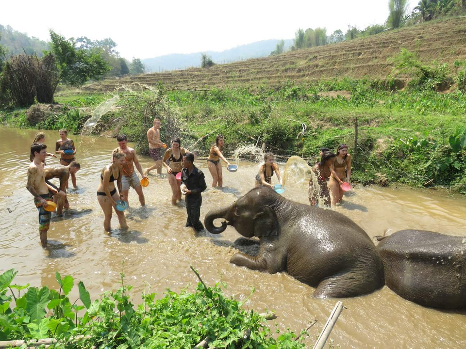 People interacting with elephants in a river.