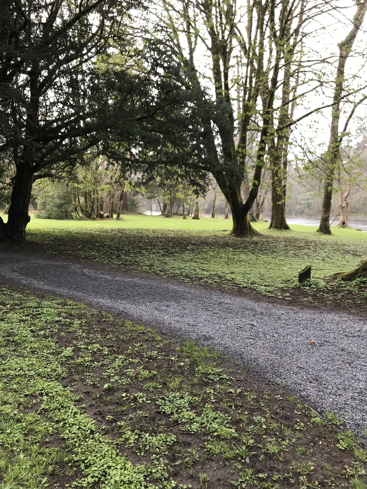 A pathway through a green forested area near a river.