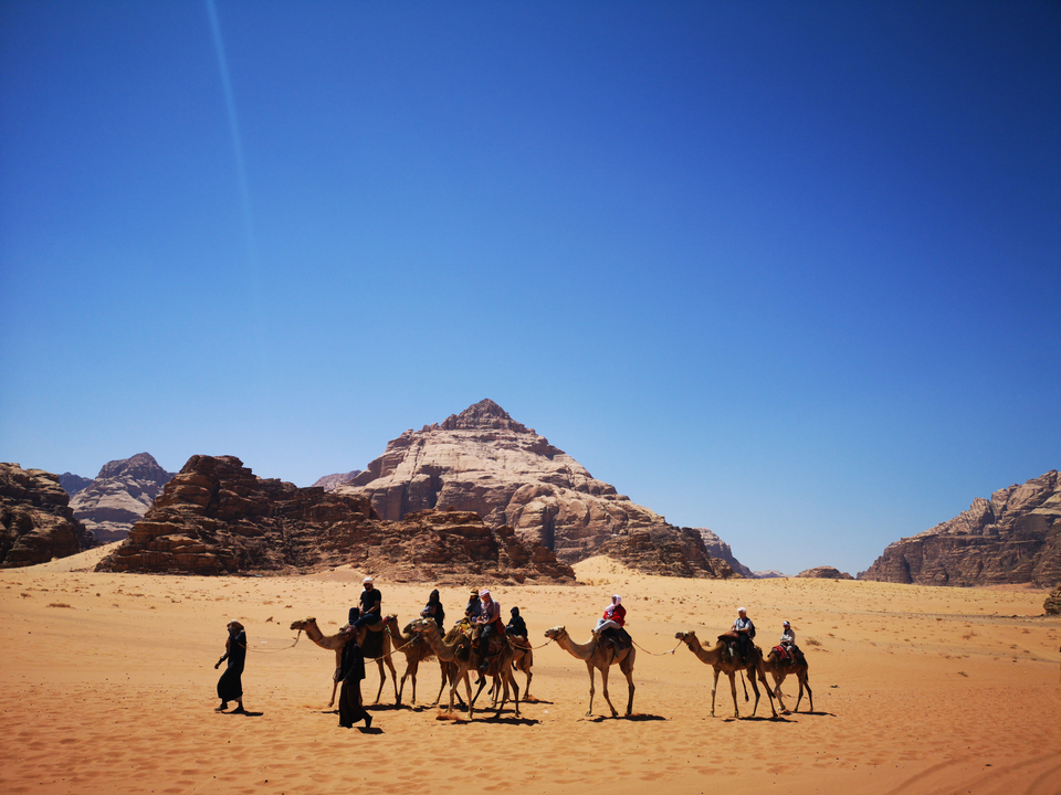 Group camel ride in a desert landscape.