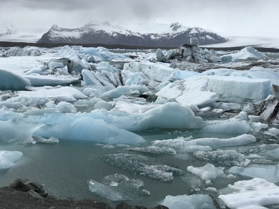 Icebergs floating in a lagoon with snow-capped mountains in the background.