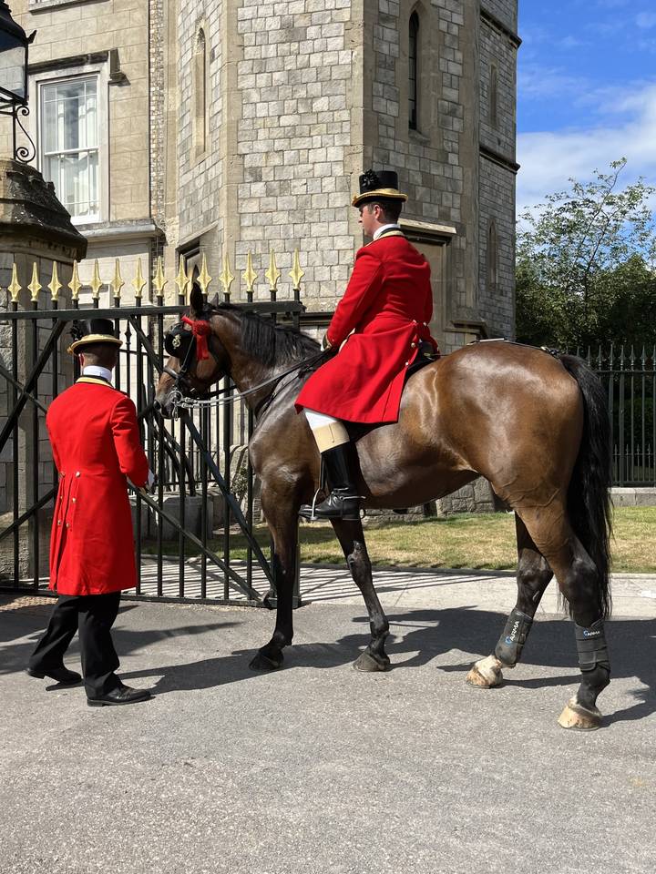 Mounted guards in red jackets in front of a building.