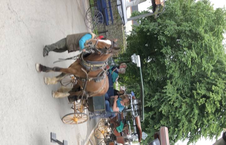Horse-drawn carriages in a town setting.