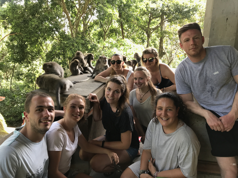 Group interacting with monkeys in a lush forest.