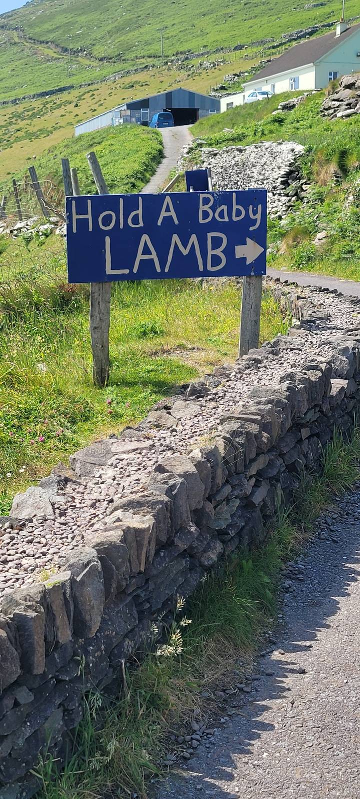 Sign on a path indicating a site to hold a baby lamb.