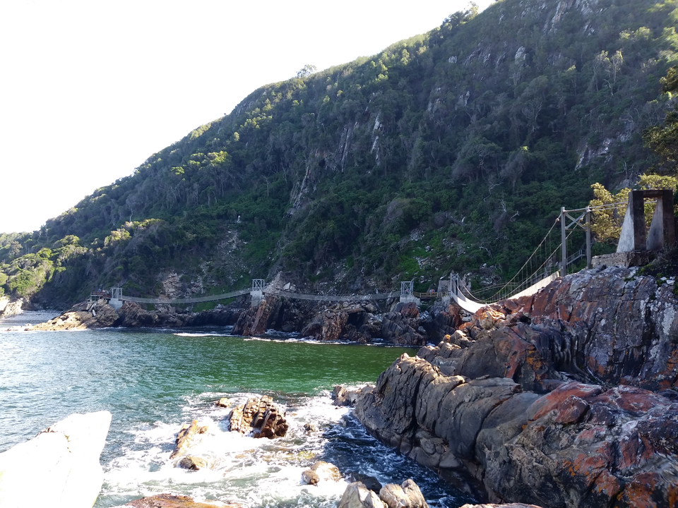 Suspension bridge over rocky shores with lush vegetation.