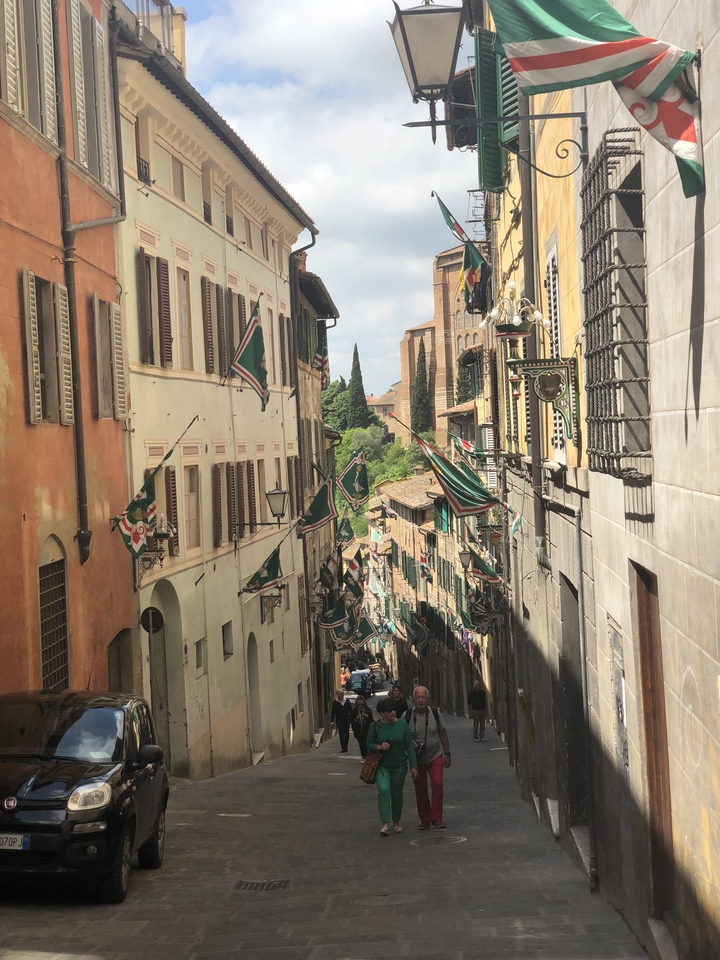 Narrow street adorned with green and white flags between old buildings.