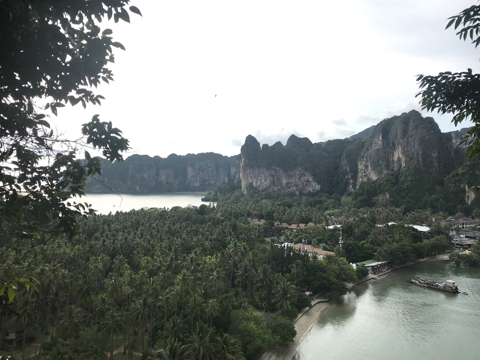 Tropical landscape with palm trees and limestone cliffs.