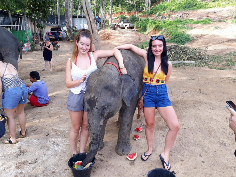 Two women posing with a baby elephant.