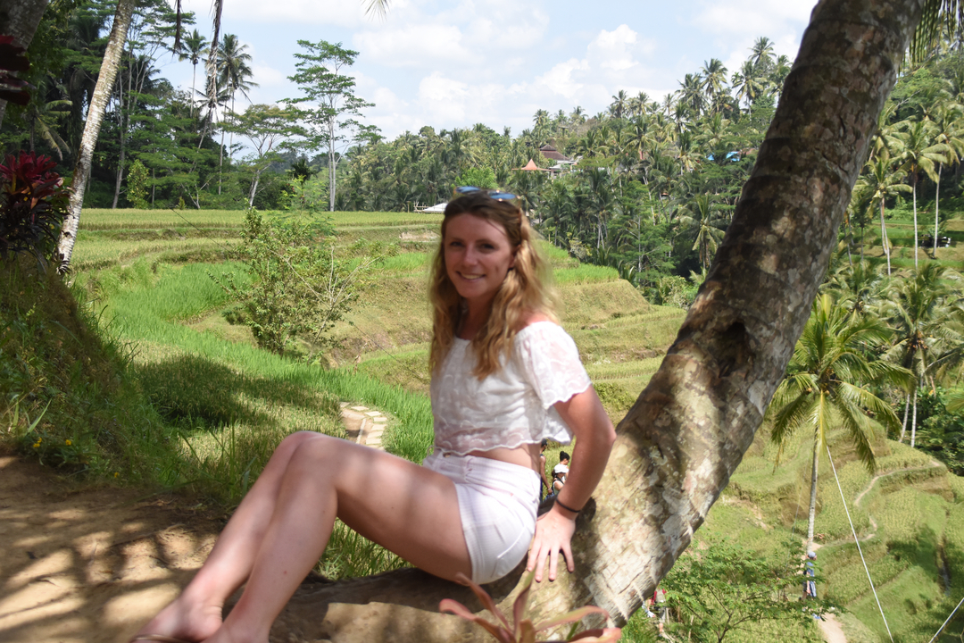 Woman sitting on a tree with a view of terraced rice fields.