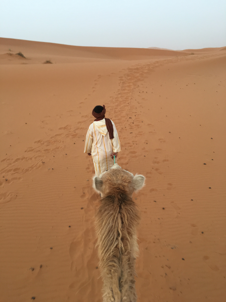 Person leading a camel through the desert sands.