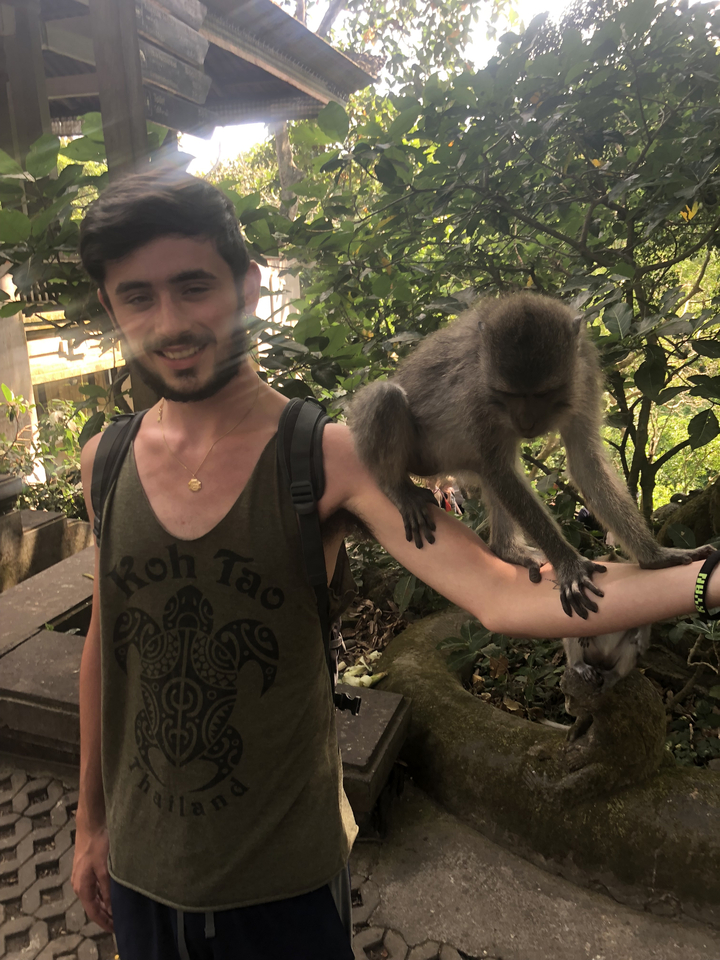 Person with a monkey on their arm in a forested area.