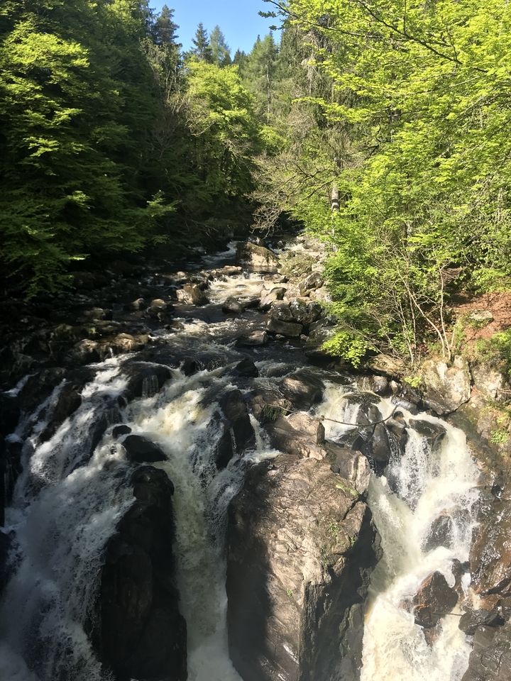 River flowing through rocky terrain with green trees