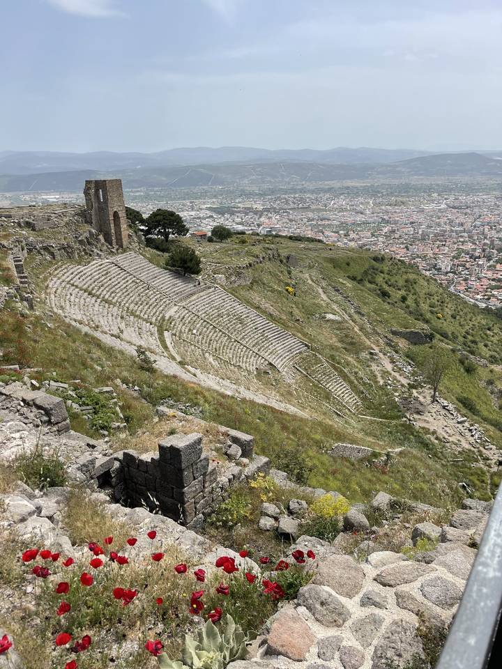 Ancient theater ruins with wildflowers.