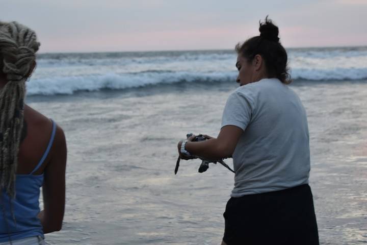 Person holding a small turtle by the ocean.
