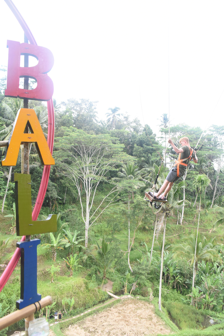 Person swinging over a jungle landscape.