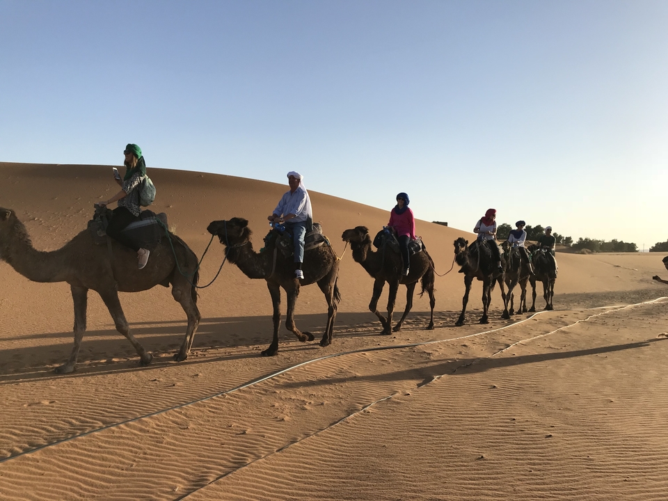 People riding camels through the desert at sunset.