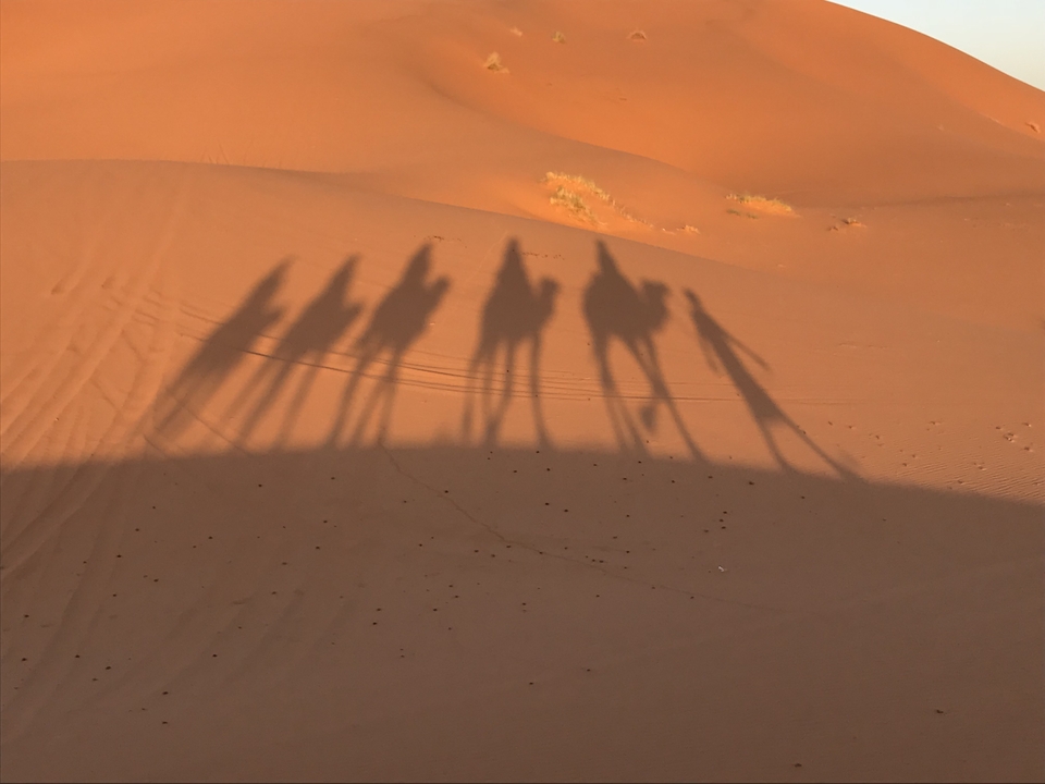 Shadows of camels and riders on desert sand dunes.