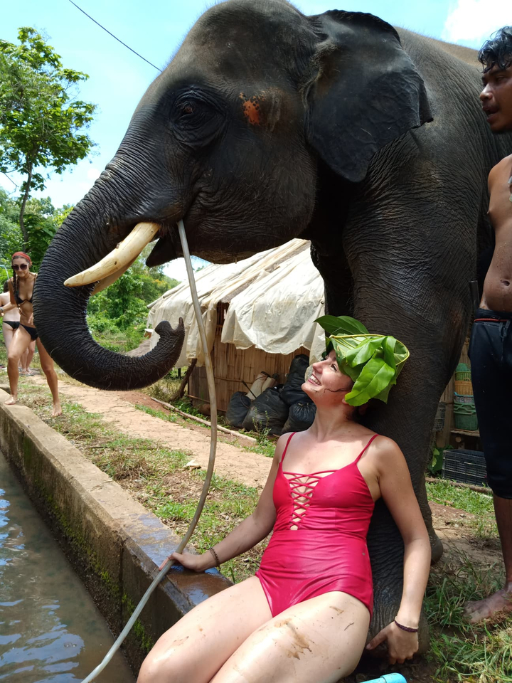 Person smiling beside an elephant with a leaf hat.