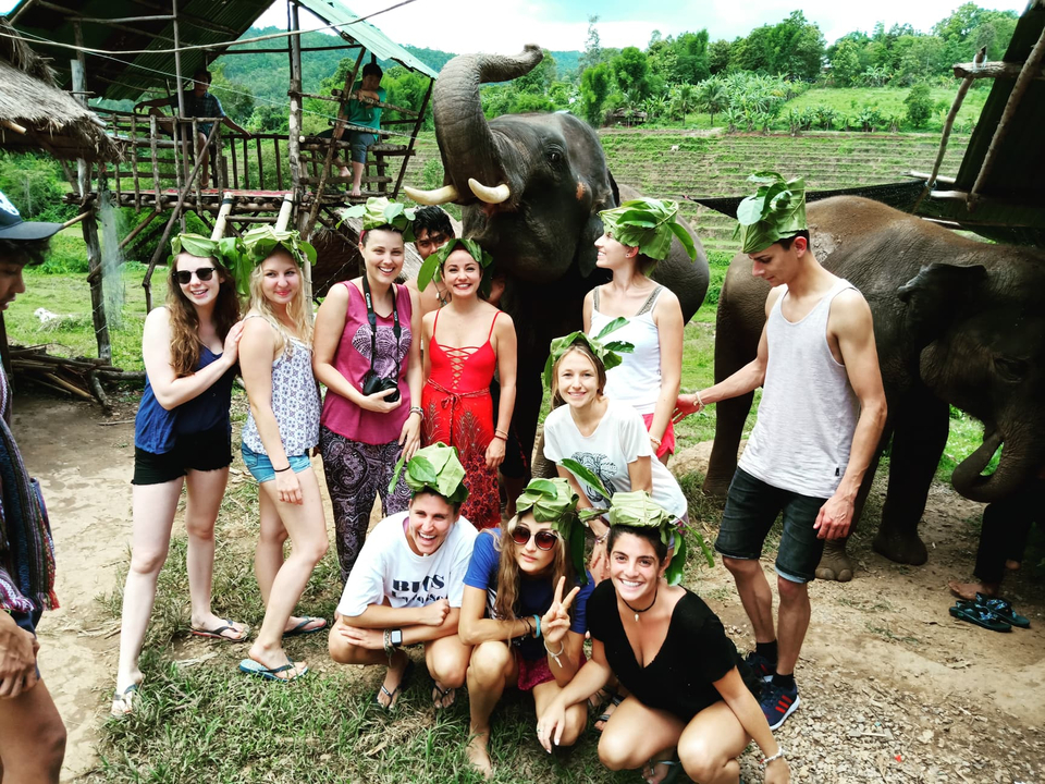Group of people wearing leaf hats with elephants.